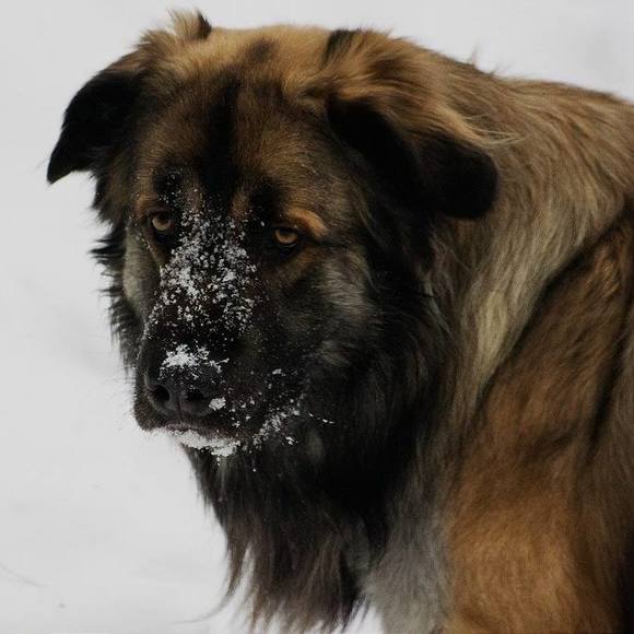 Meet your Posher, Patricia - Picture 1 of 1